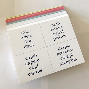 latin road volume 3 vocabulary cards